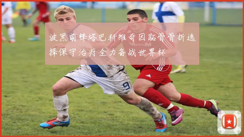 波黑前锋塔巴科维奇因跖骨骨折选择保守治疗全力备战世界杯