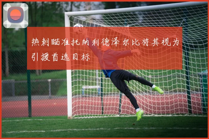 热刺瞄准托纳利德泽尔比将其视为引援首选目标